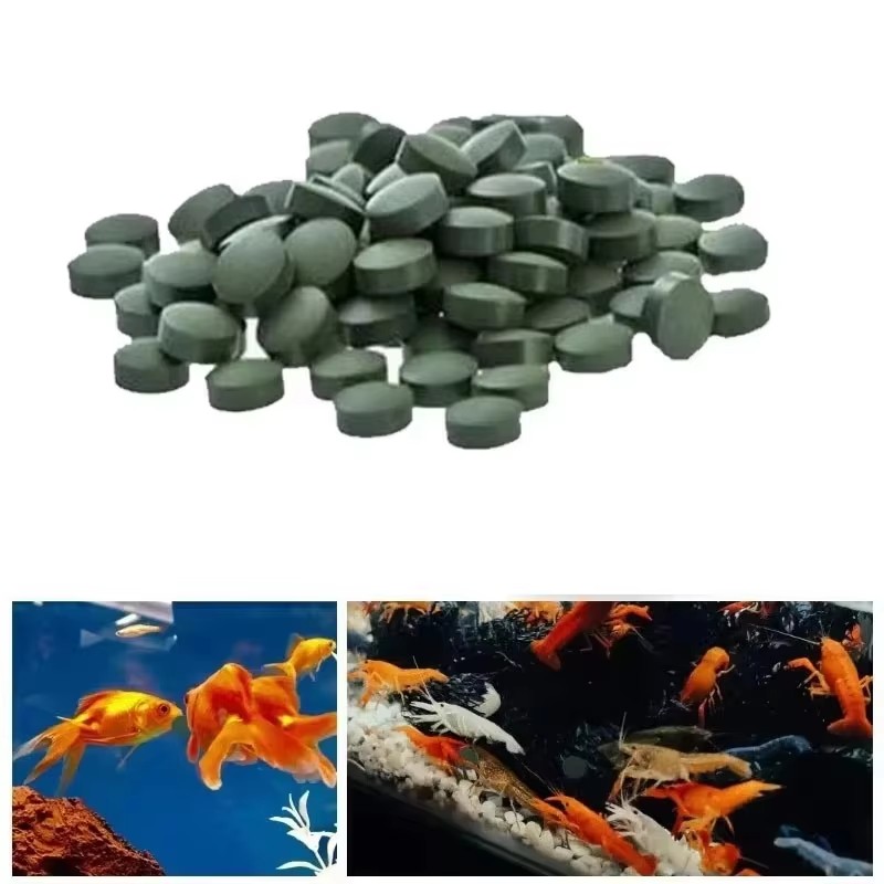 Aquarium Fish Holiday Food - Compresse di Spirulina ad Alta Purezza