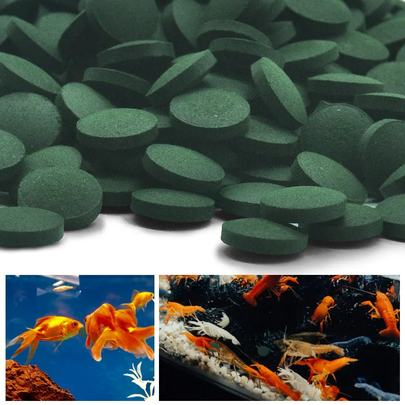 Aquarium Fish Holiday Food - 100 pz compresse di spirulina ad