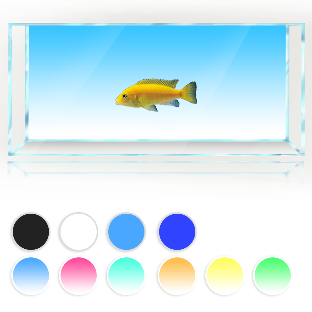 Aquarium Fish Yellow And Black - Sfondo per acquario Bianco Giallo Verde