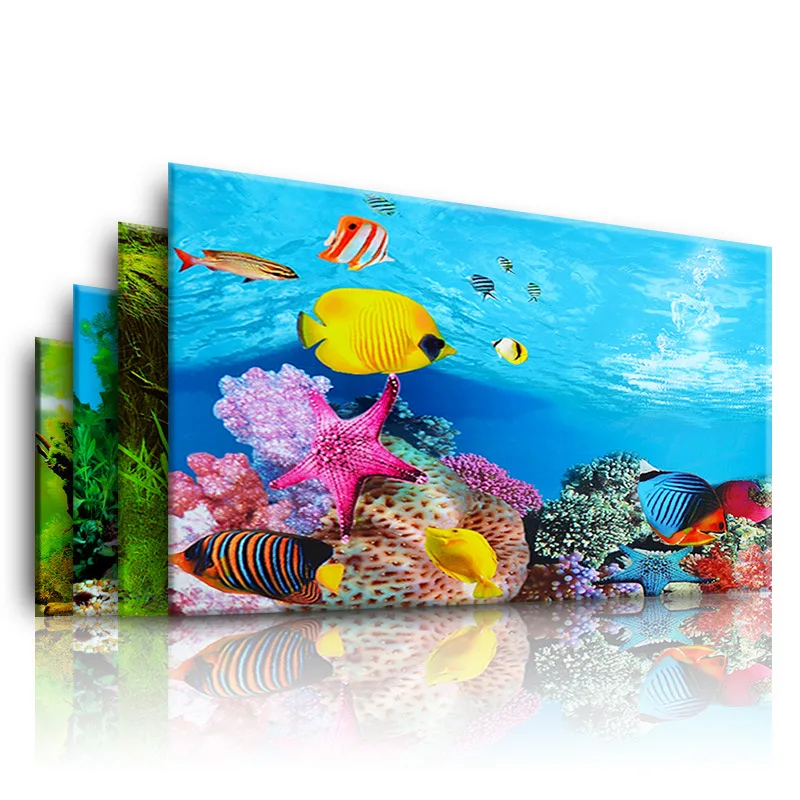 Aquarium Fish Enrichment - Sfondo per acquario Adesivo 3D Poster