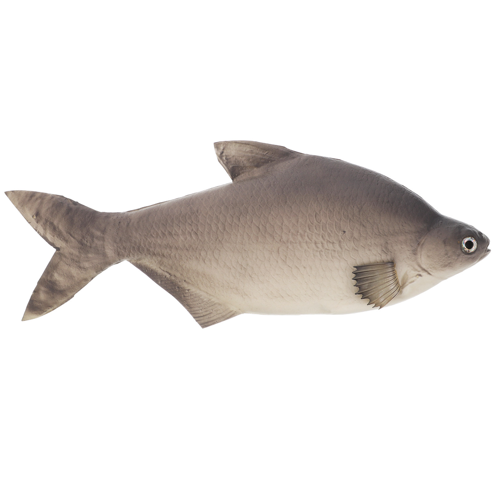 Aquarium Fish Market - Pesce Artificiale Dettagliato in PU, Realistico,