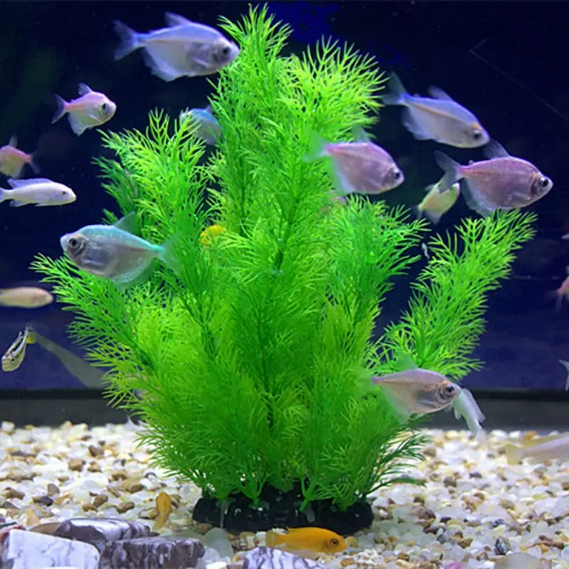 Aquarium Fish Enrichment - Piante artificiali per decorazioni per acquari