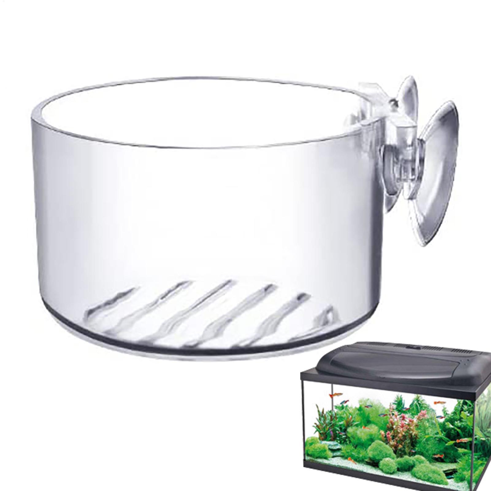 Aquarium Fish Beautiful - Vaso per piante acquatiche in acrilico,