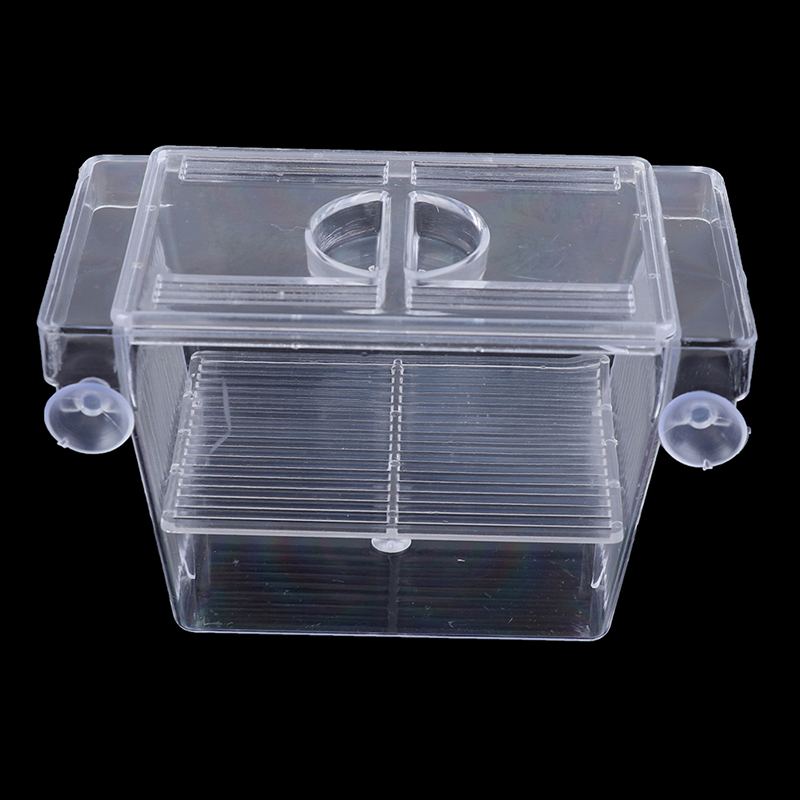 Aquarium Fish Trap - Acquario acquario acquario Guppy doppio allevamento