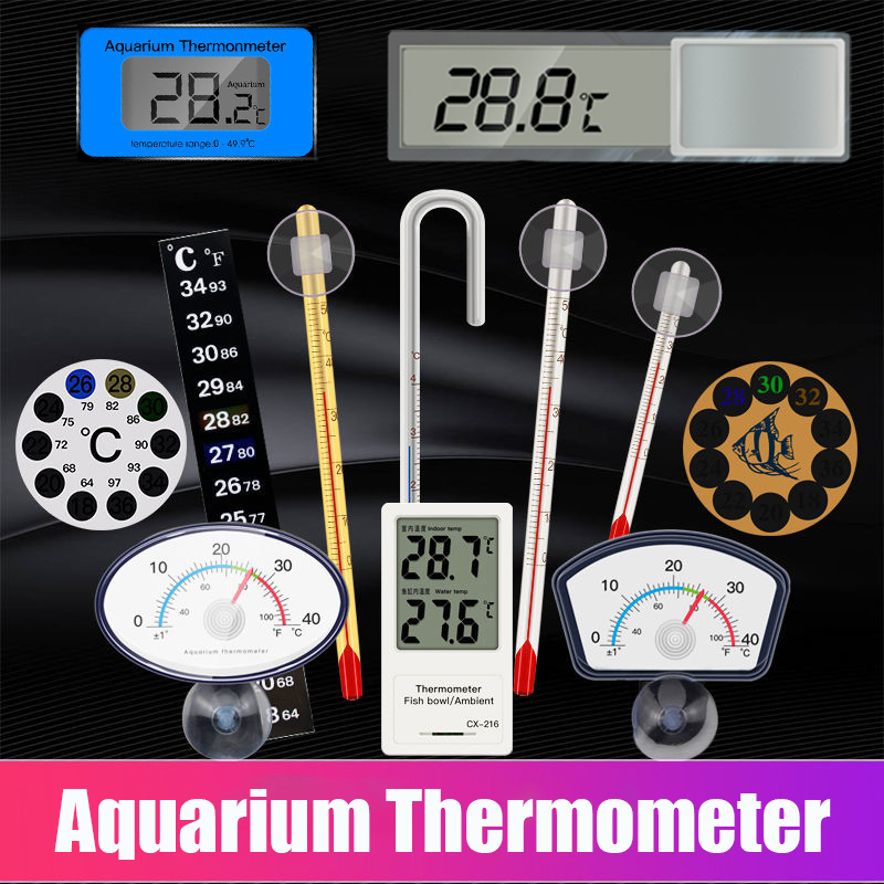 Aquarium Thermometer - Termometro per acquario Termometro in vetro