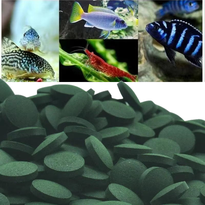 Aquarium Fish Holiday Food - 50/100/300/500 pz Spirulina Compresse Spirale Alghe