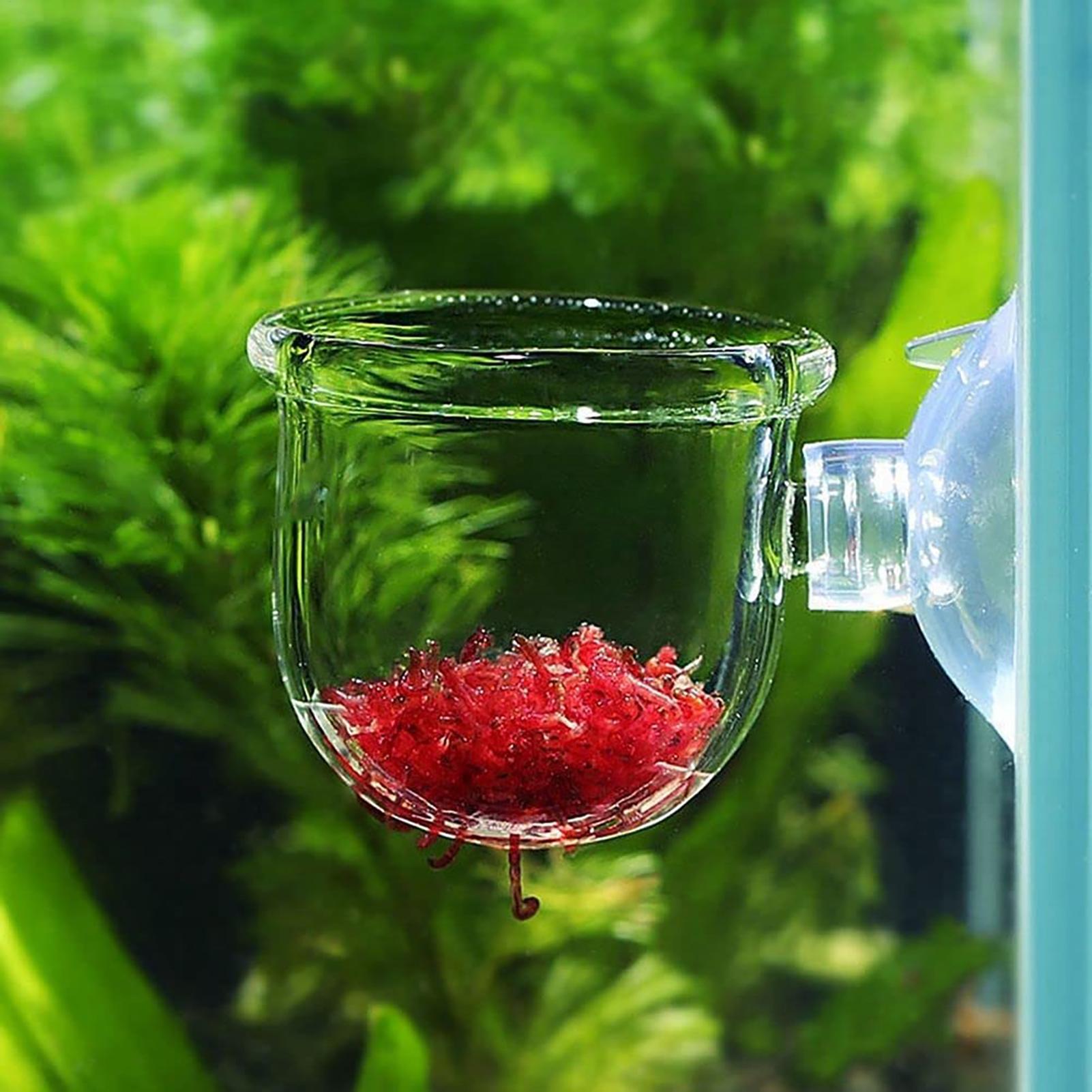 Aquarium Fish Beautiful - Supporto per Piante per Acquario, Vasi