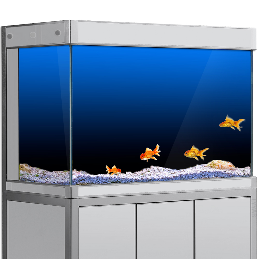 Aquarium Fish Green - Adesivo per sfondo acquario Nero Verde
