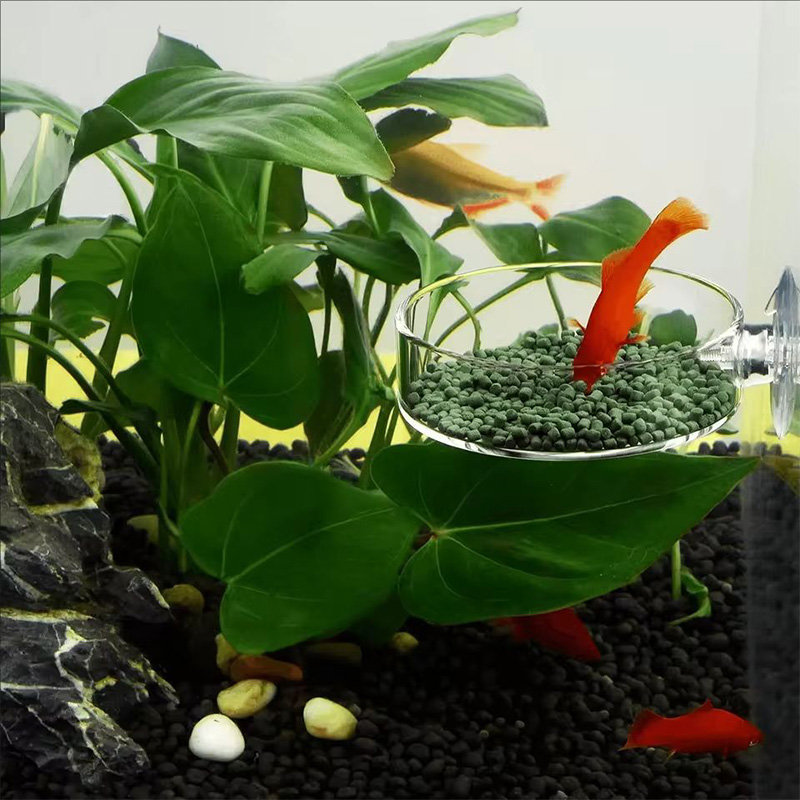 Aquarium Fish Holiday Food - Mangiatoia Trasparente in Acrilico per Pesci