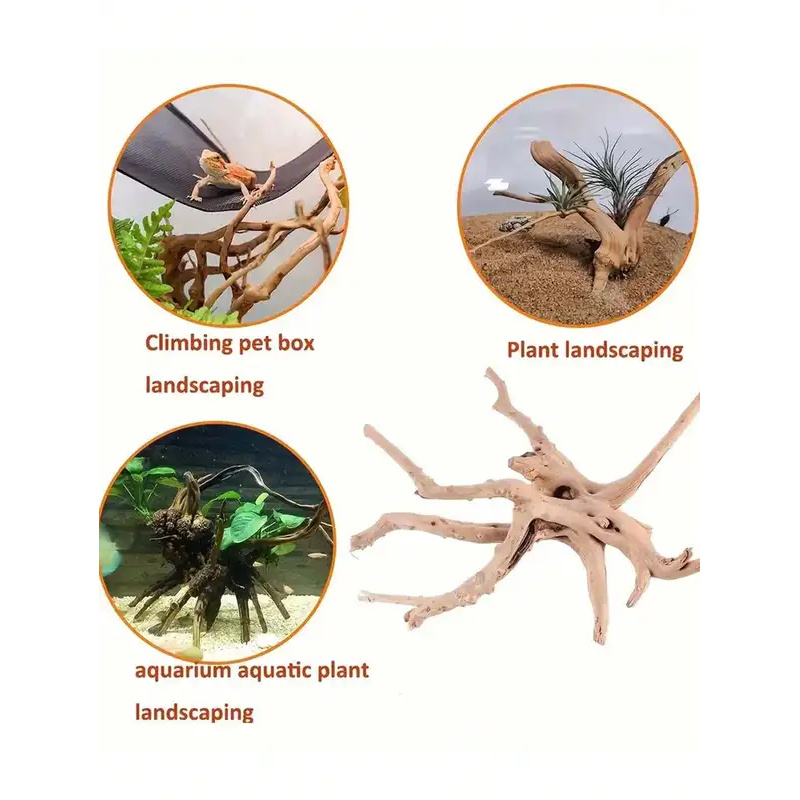 Legno Naturale per Decorazione - Aquarium Fish Enrichment recensione e prezzo