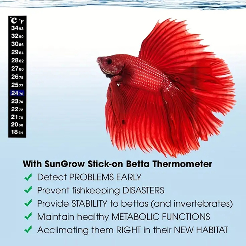 2 pz/set acquario acquario ser - Aquarium Thermometer recensione e prezzo