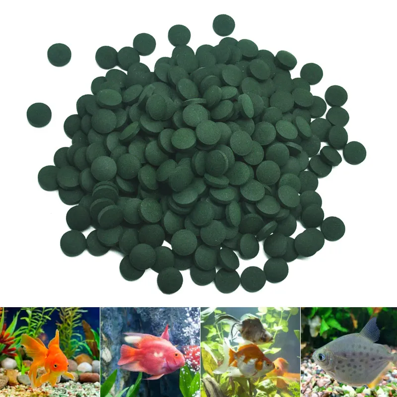 100 pz compresse di spirulina  - Aquarium Fish Holiday Food recensione e prezzo