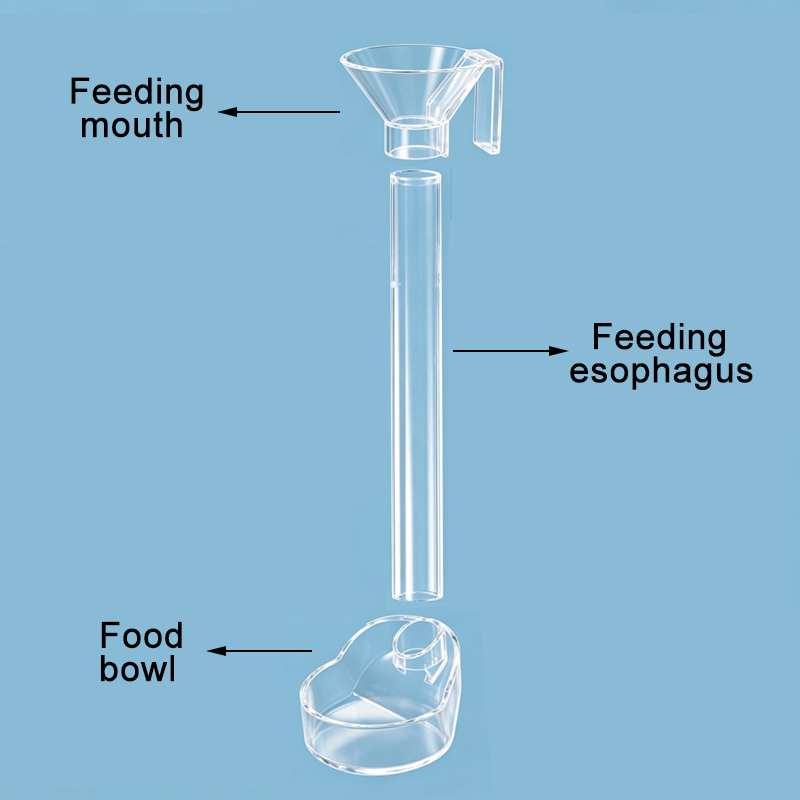 Dispenser di cibo per acquario - Aquarium Fish Holiday Food recensione e prezzo