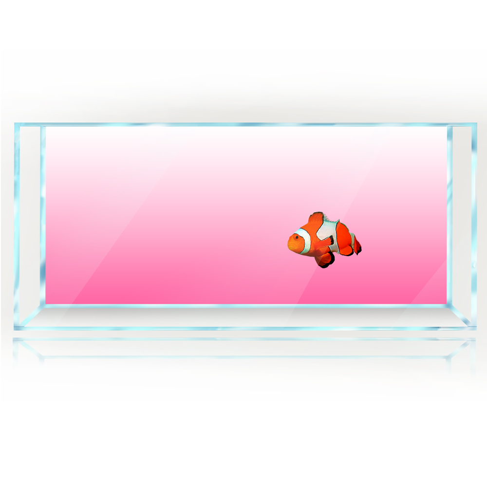 Sfondo per acquario Bianco Gia - Aquarium Fish Yellow And Black recensione e prezzo
