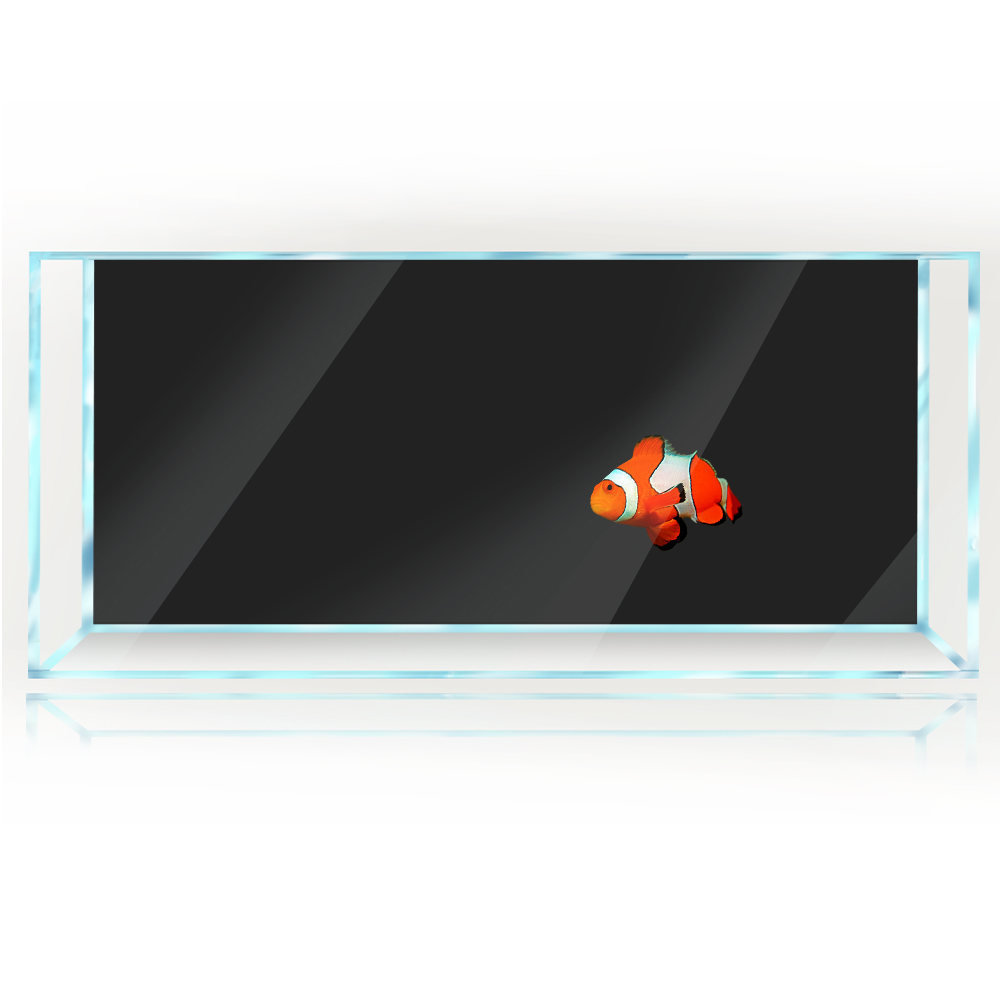 Sfondo per acquario Bianco Gia - Aquarium Fish Yellow And Black recensione e prezzo