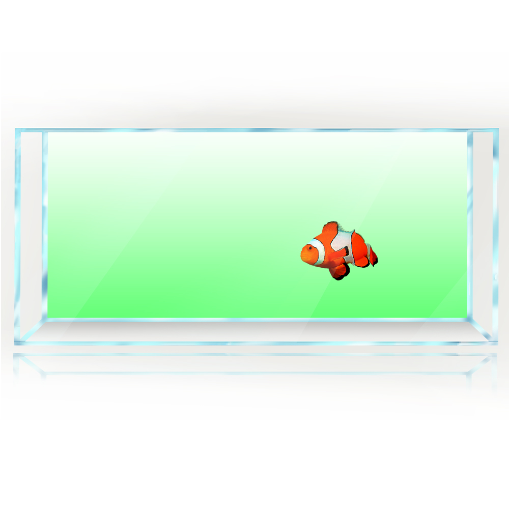 Sfondo per acquario Bianco Gia - Aquarium Fish Yellow And Black recensione e prezzo