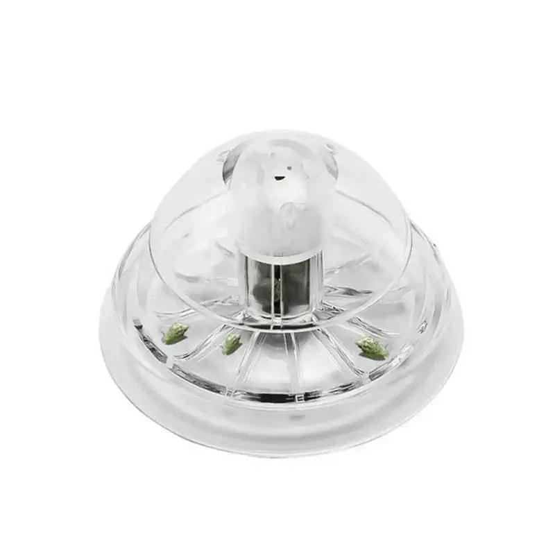 Nuova Trappola per Lumache in  - Aquarium Fish Trap recensione e prezzo