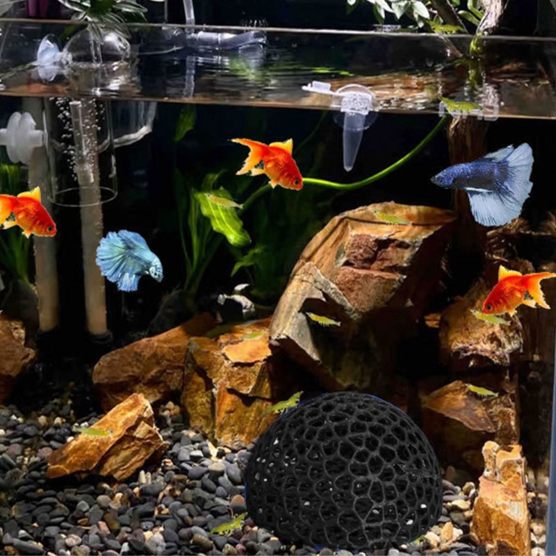 Angolo della grotta del rifugi - Aquarium Fish Beautiful recensione e prezzo