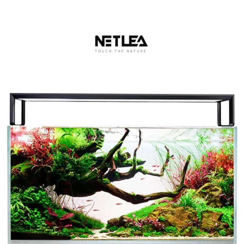 Netlea AT5S V3 Smart Wifi APP  - Aquarium Fish App recensione e prezzo