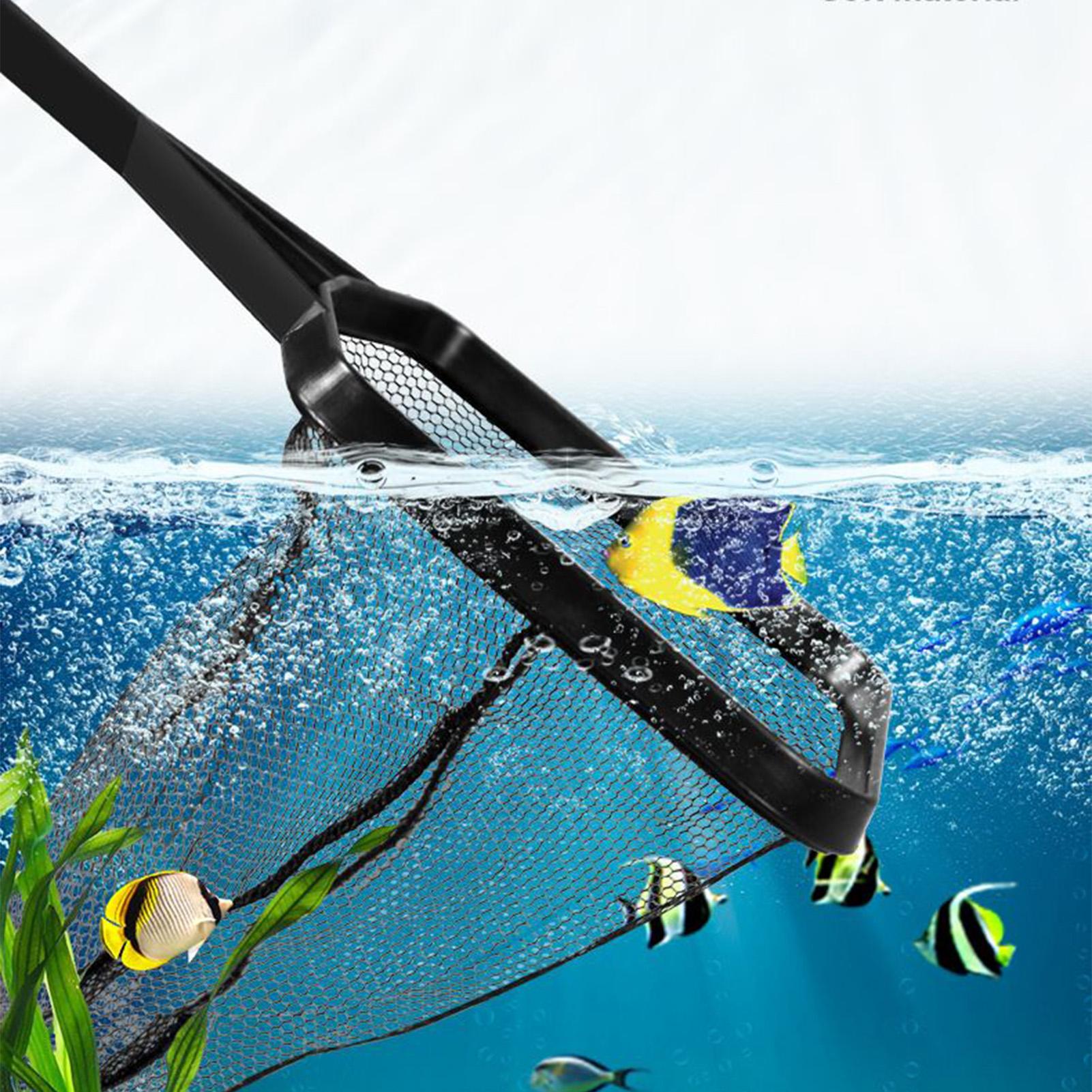 Rete per piscina Rete di salva - Aquarium Fish Trap recensione e prezzo