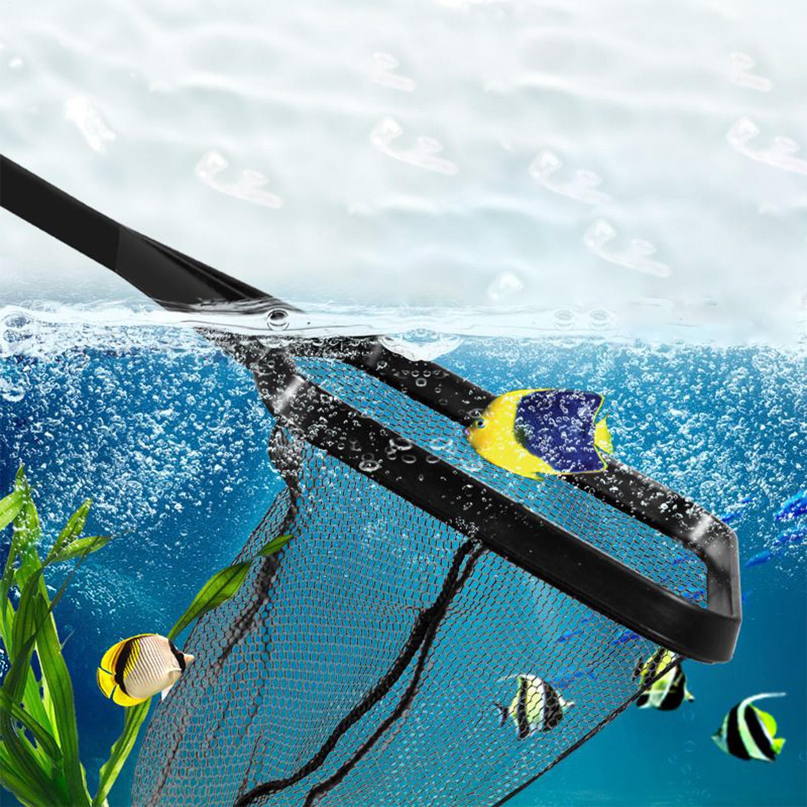 Rete per piscina Rete di salva - Aquarium Fish Trap recensione e prezzo
