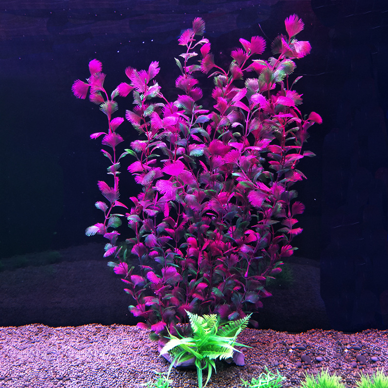 52 cm acquario artificiale pia - Aquarium Fish Beautiful recensione e prezzo