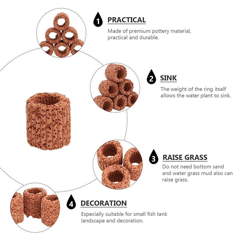Anello fisso per piante acquat - Aquarium Fish Enrichment recensione e prezzo