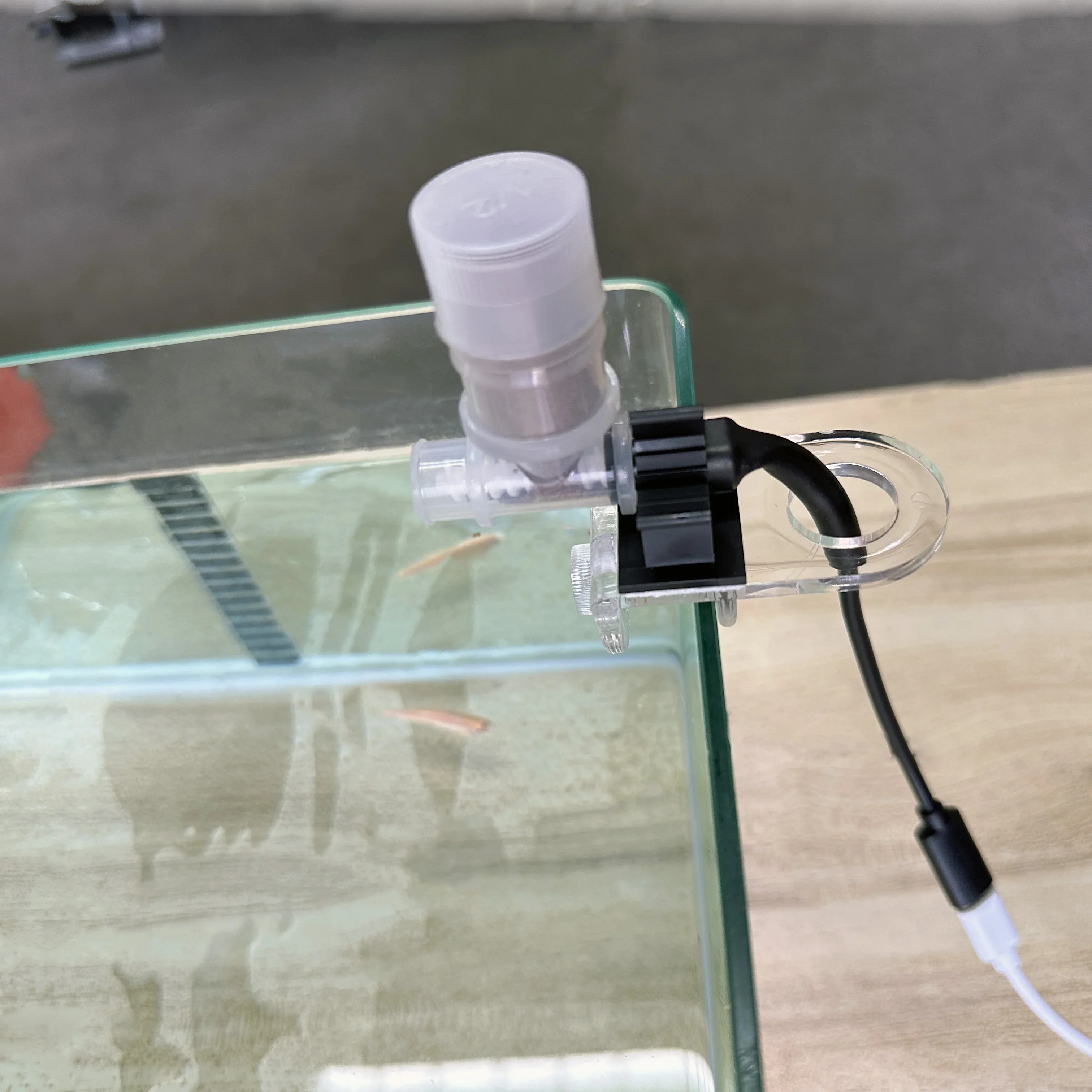 Il miglior alimentatore automa - Aquarium Fish Holiday Food recensione e prezzo
