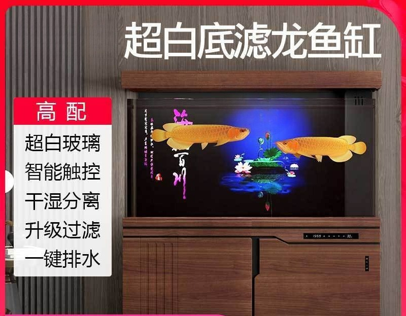 Acquario Xilong grande e medio - Aquarium Xilong recensione e prezzo