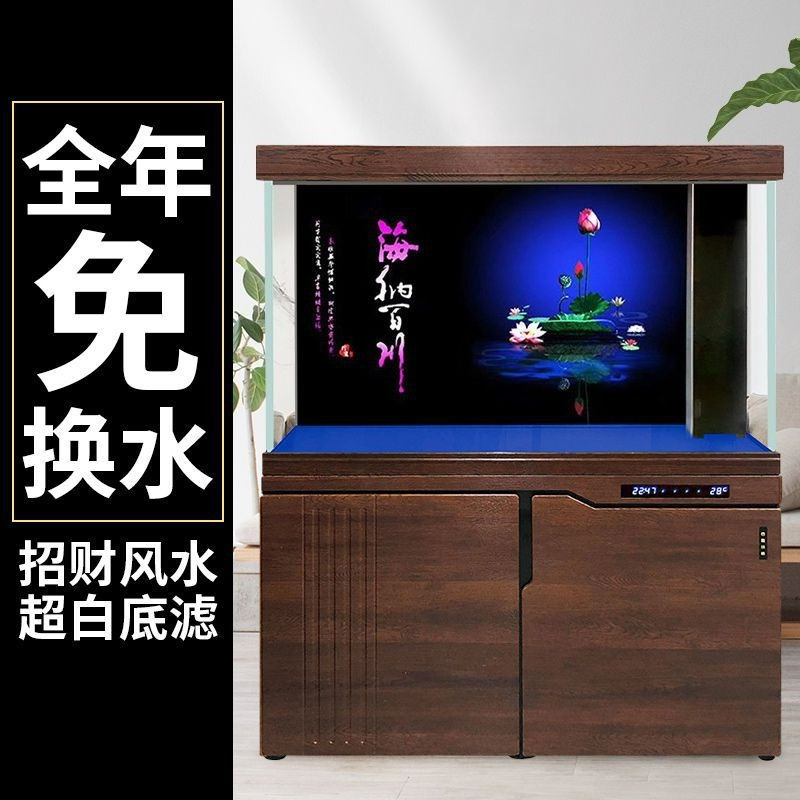 Acquario Xilong grande e medio - Aquarium Xilong recensione e prezzo
