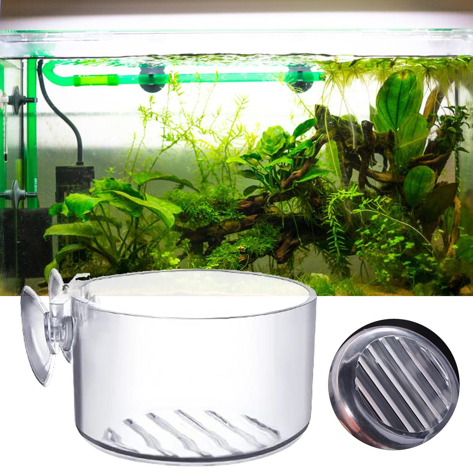 Vaso per piante acquatiche in  - Aquarium Fish Beautiful recensione e prezzo