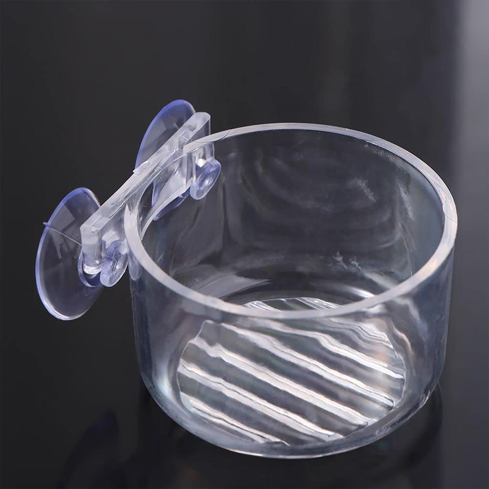 Vasi per Piante Acquatiche con - Aquarium Fish Beautiful recensione e prezzo