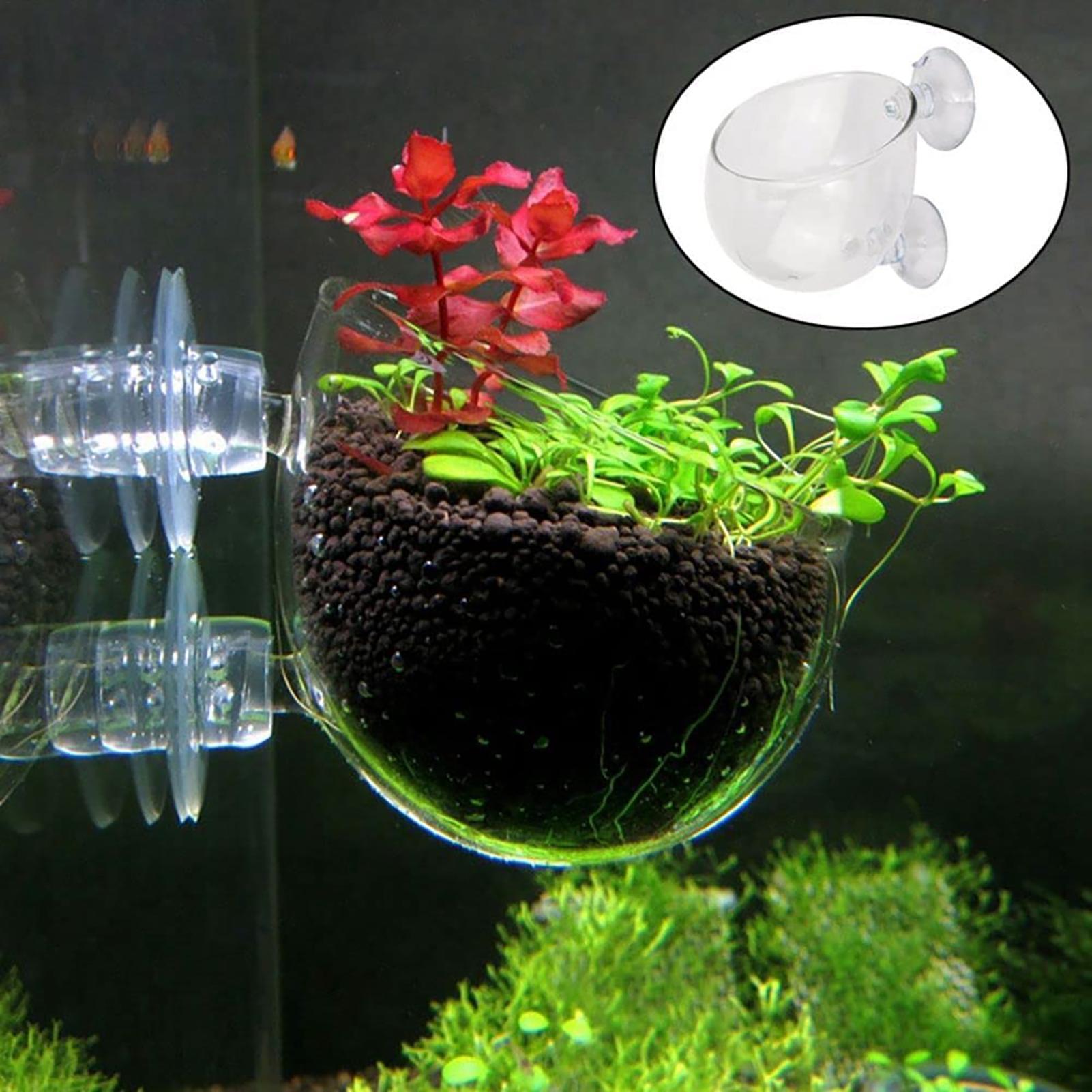 Vasi per Piante Acquatiche con - Aquarium Fish Beautiful recensione e prezzo
