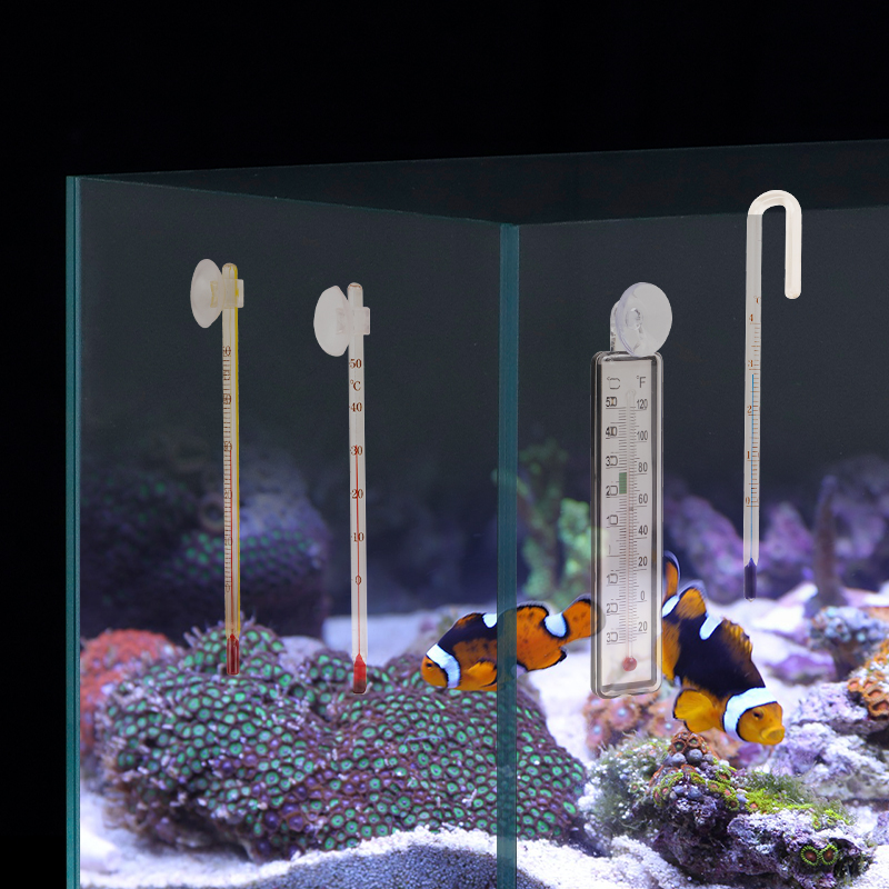 Termometro Digitale per Acquar - Aquarium Thermometer recensione e prezzo