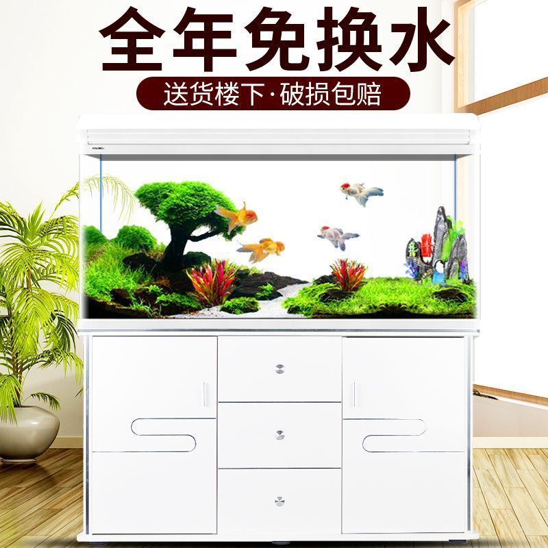 Acquario Xilong per pesci, pic - Aquarium Xilong recensione e prezzo