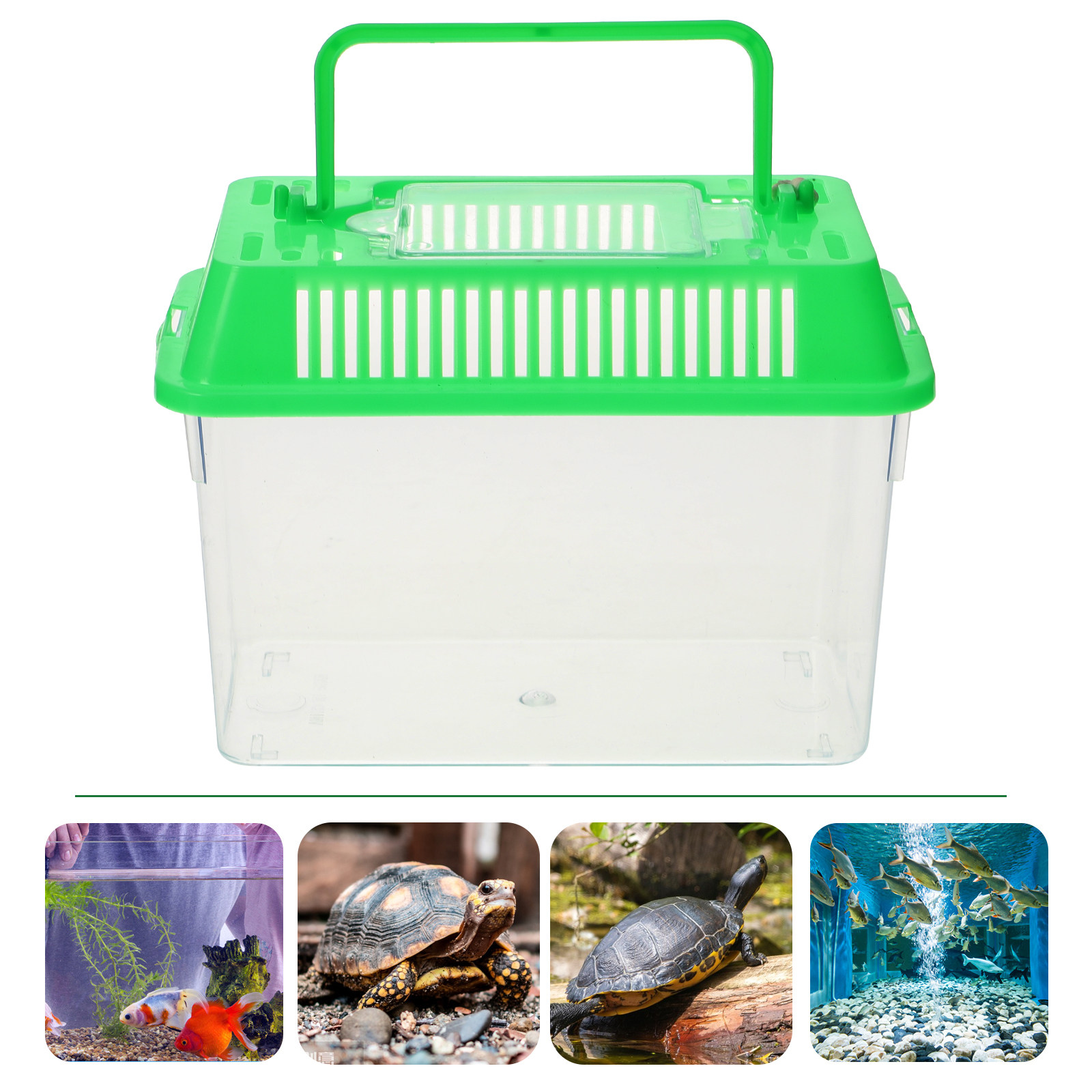 Accessori per Acquario: Pompa  - Aquarium Fish Market recensione e prezzo