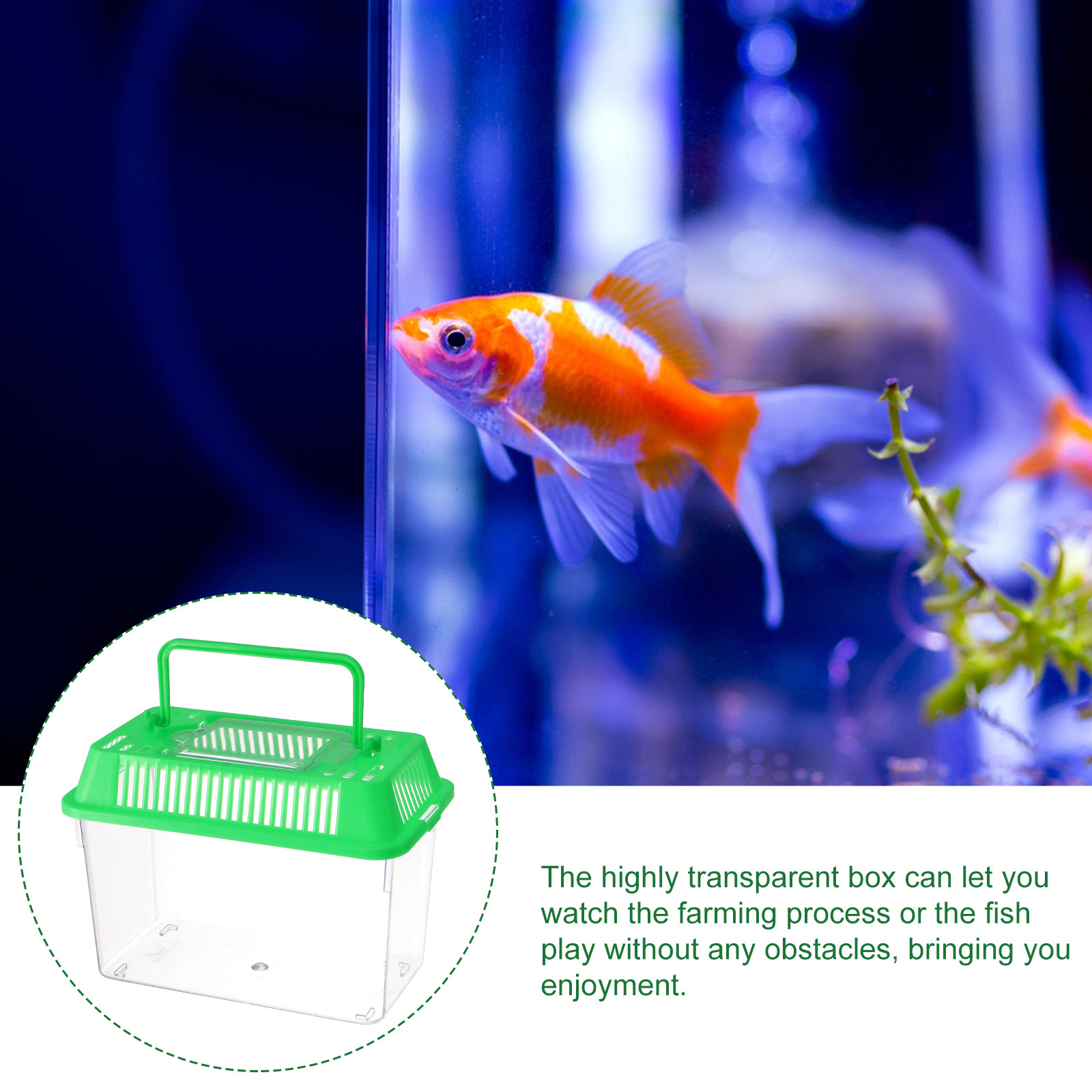 Accessori per Acquario: Pompa  - Aquarium Fish Market recensione e prezzo