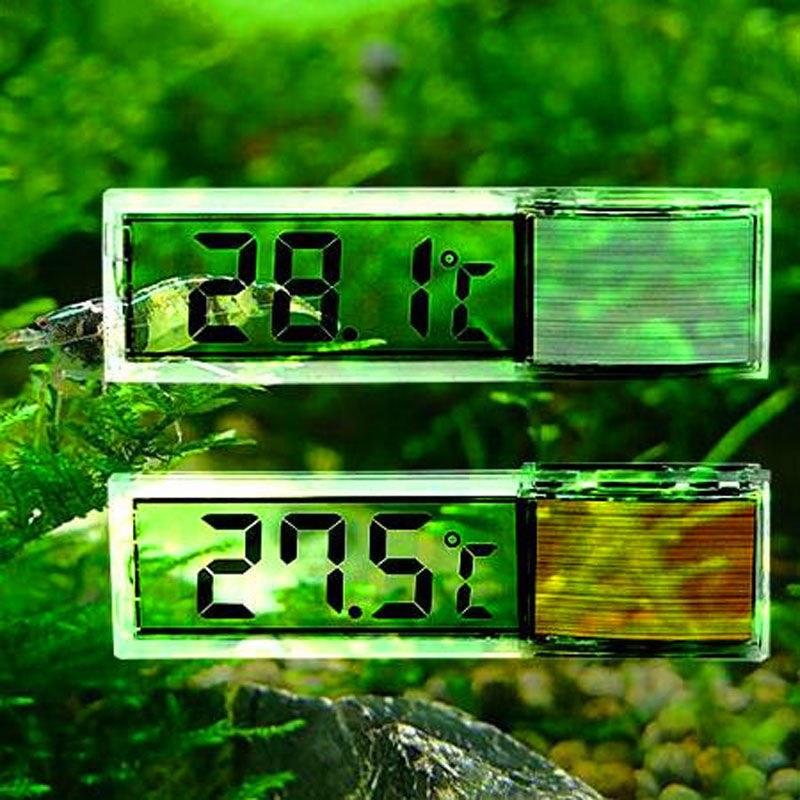 Termometro per acquario Termom - Aquarium Thermometer recensione e prezzo