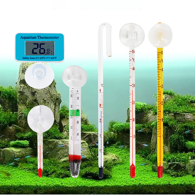 Termometro per acquario Termom - Aquarium Thermometer recensione e prezzo
