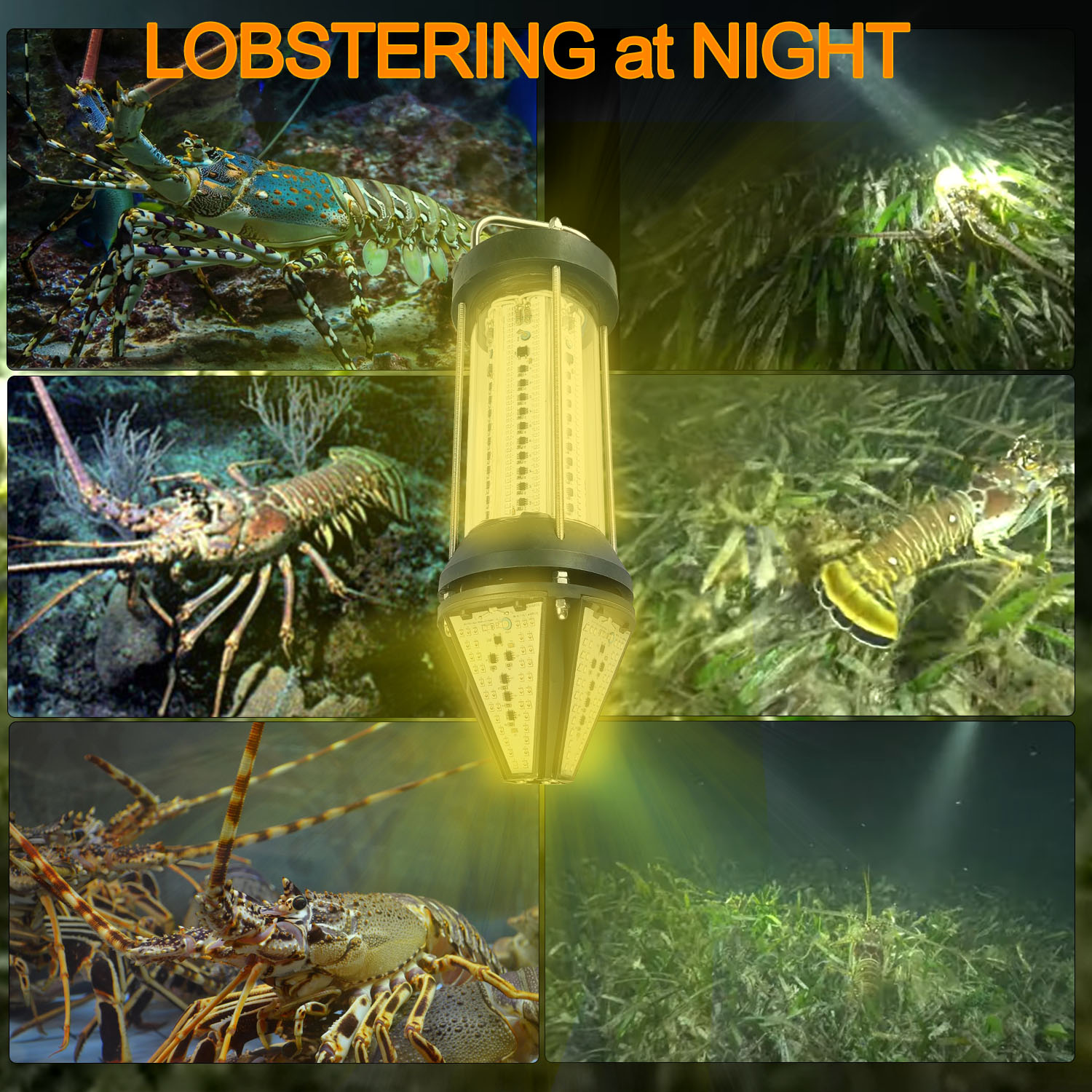 Luce Subacquea Verde Blu Bianc - Aquarium Fish Green recensione e prezzo