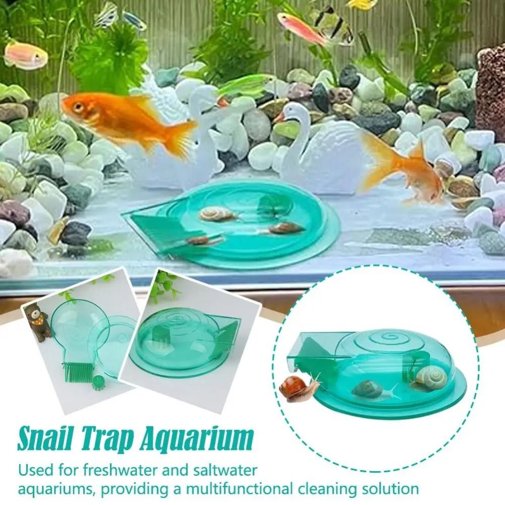Trappola per Lumache d'Acquari - Aquarium Fish Trap recensione e prezzo