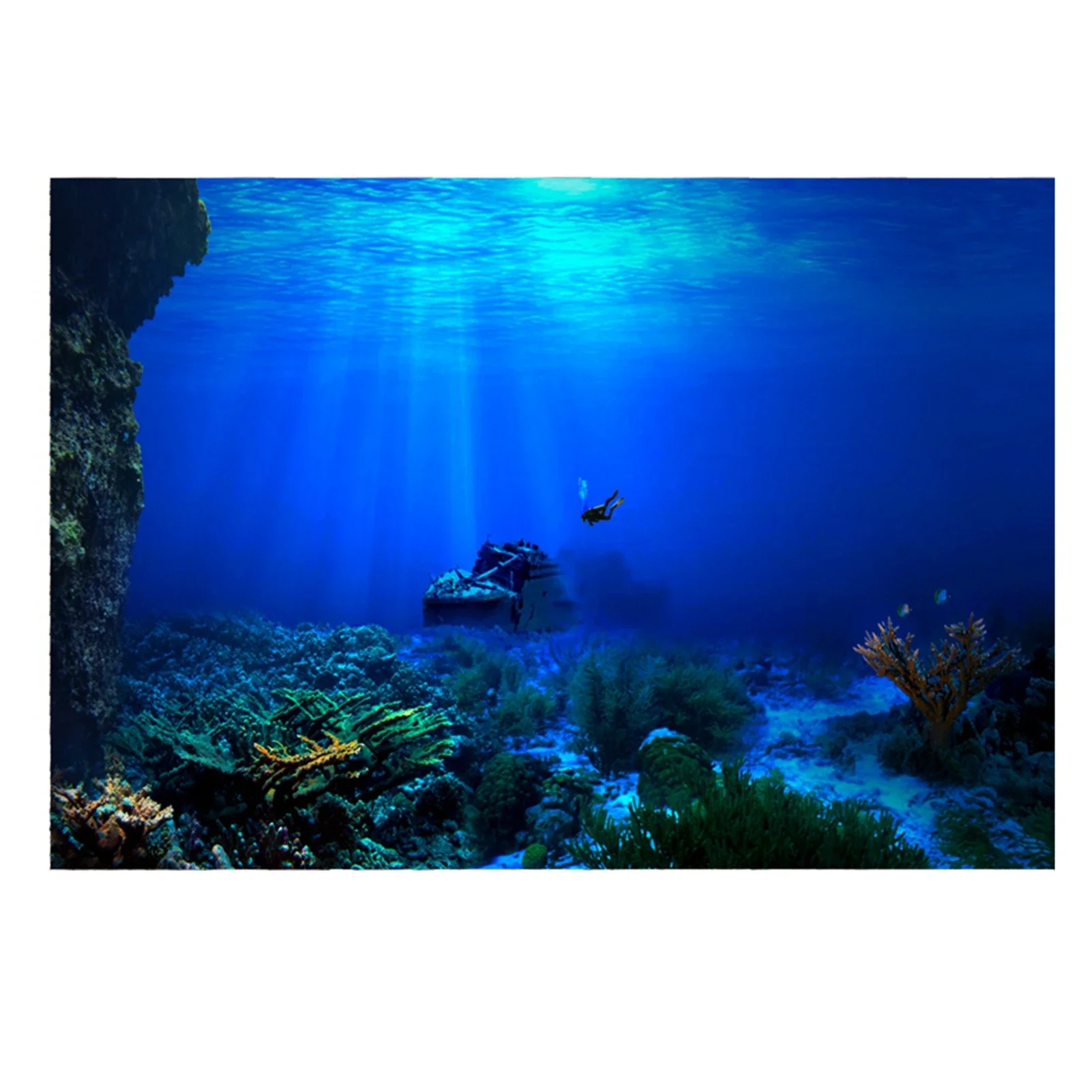 Foresta pluviale acquario sfon - Aquarium Fish World recensione e prezzo