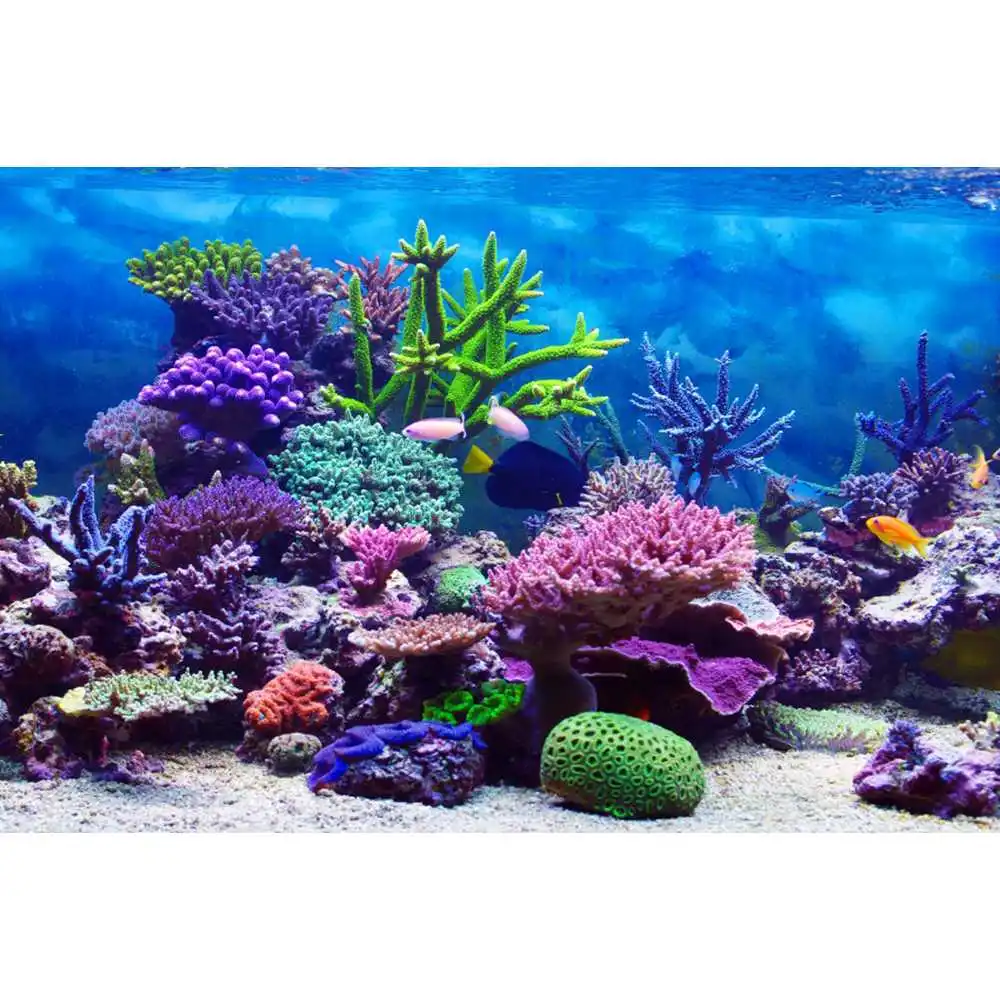 Mondo Sottomarino Sfondo del F - Aquarium Fish World recensione e prezzo
