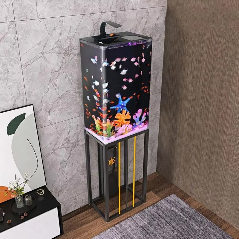 Acquario in Acrilico 2026 Gran - Aquarium Fish Beautiful recensione e prezzo
