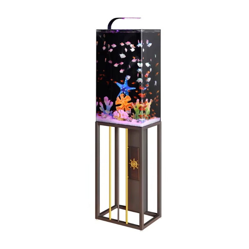 Acquario in Acrilico 2026 Gran - Aquarium Fish Beautiful recensione e prezzo