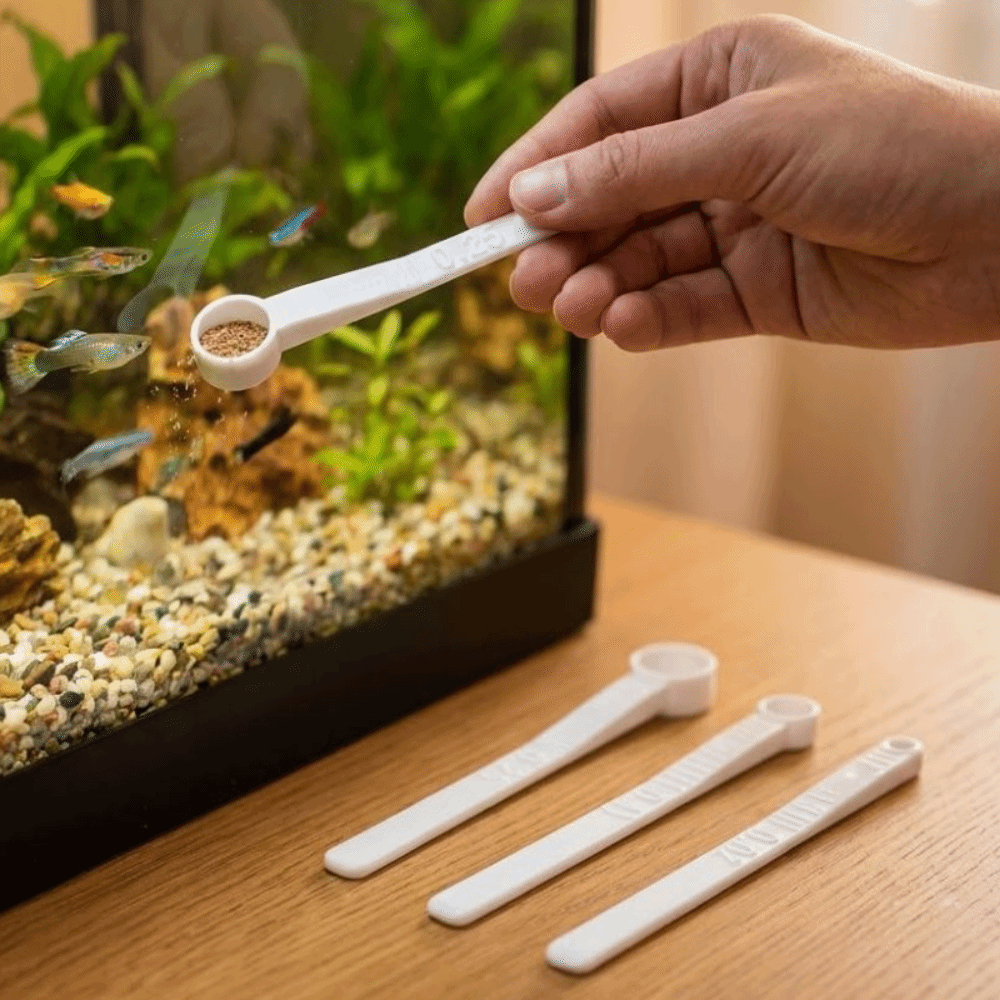 Set di 3 Cucchiai Dosatori per - Aquarium Fish Holiday Food recensione e prezzo