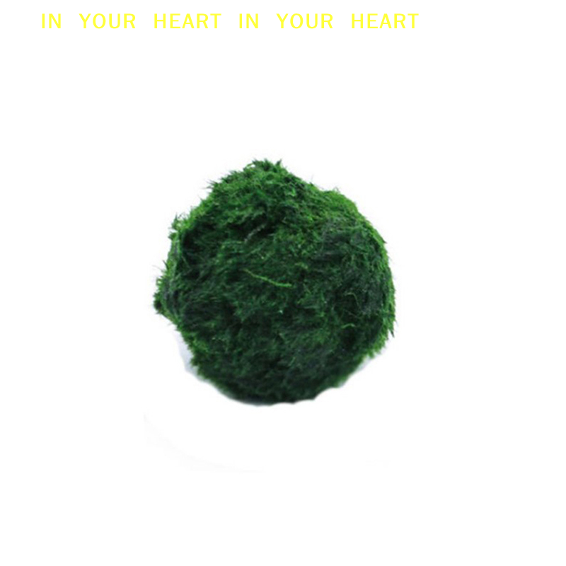 【X】Palline di Muschio Marimo 3 - Aquarium Fish Green recensione e prezzo