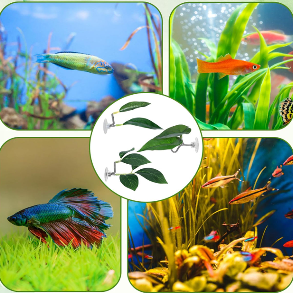 1 Amaca per Pesci Betta, Decor - Aquarium Fish Enrichment recensione e prezzo