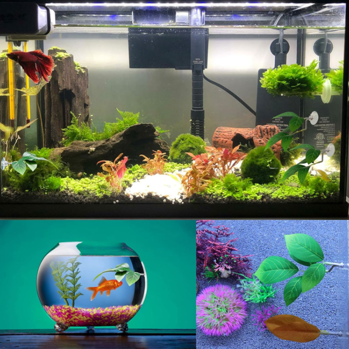 1 Amaca per Pesci Betta, Decor - Aquarium Fish Enrichment recensione e prezzo