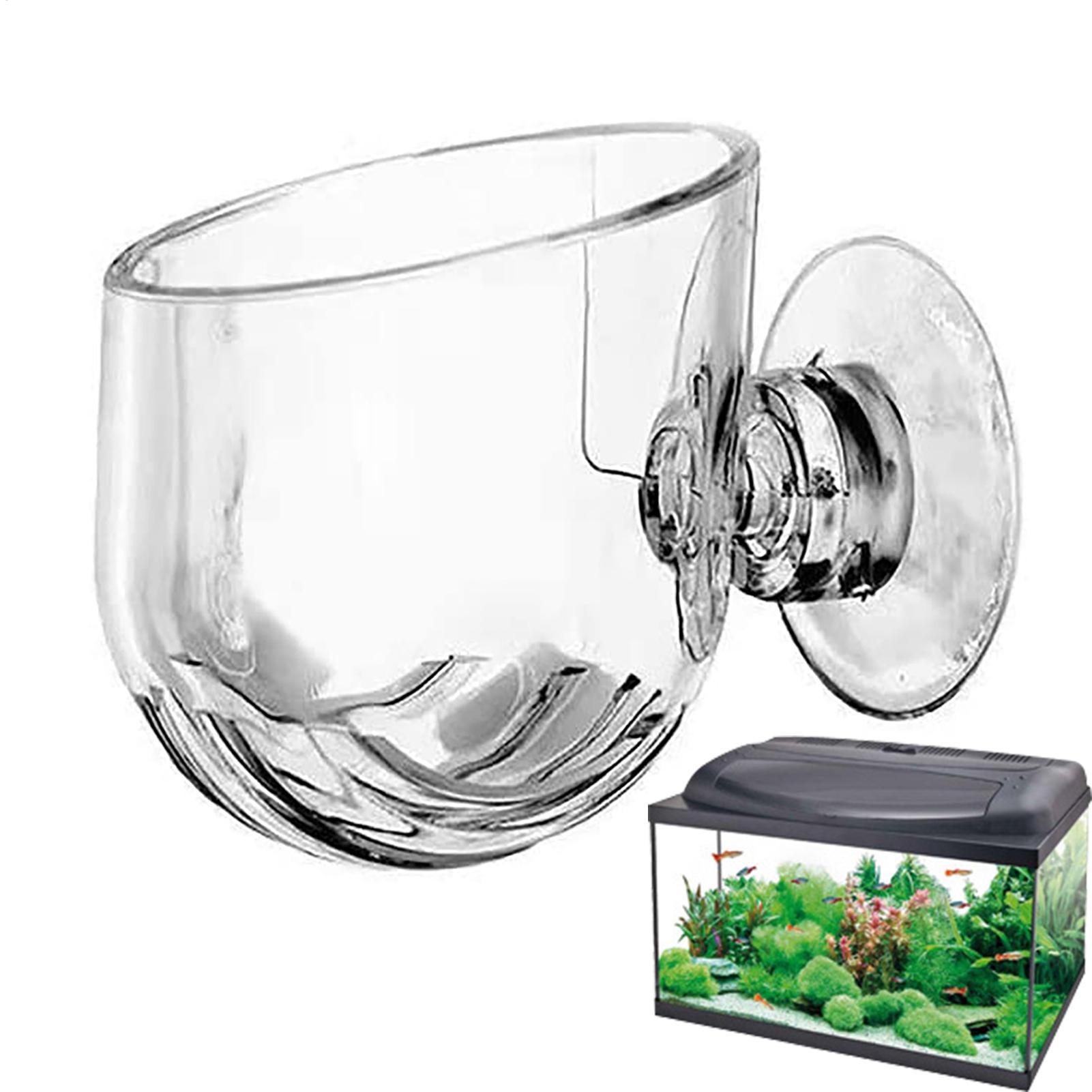 Supporto per piante acquatiche - Aquarium Fish Beautiful recensione e prezzo